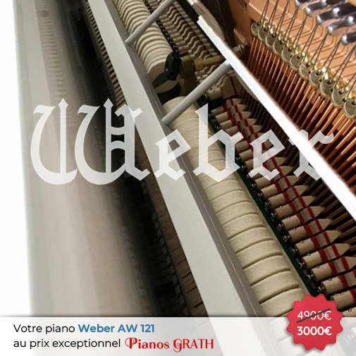 Carousel Piano Weber AW 121 neuf