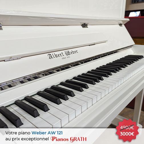 Carousel Piano Weber AW 121 neuf