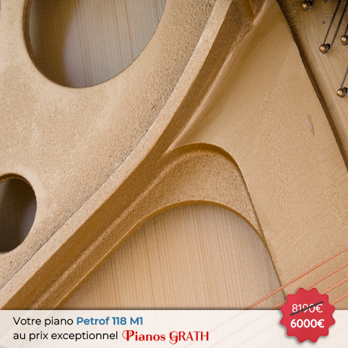 Carousel Piano Petrof P 118 M1 neuf