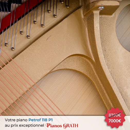 Carousel Piano Petrof P 118 P1 neuf