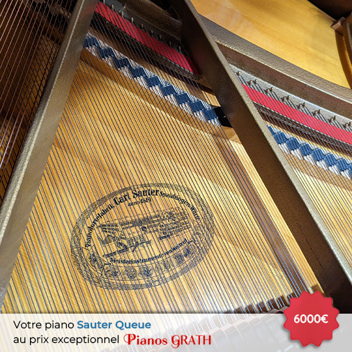 Carousel Piano Sauter Queue occasion