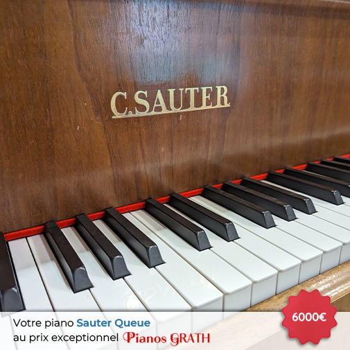 Carousel Piano Sauter Queue occasion